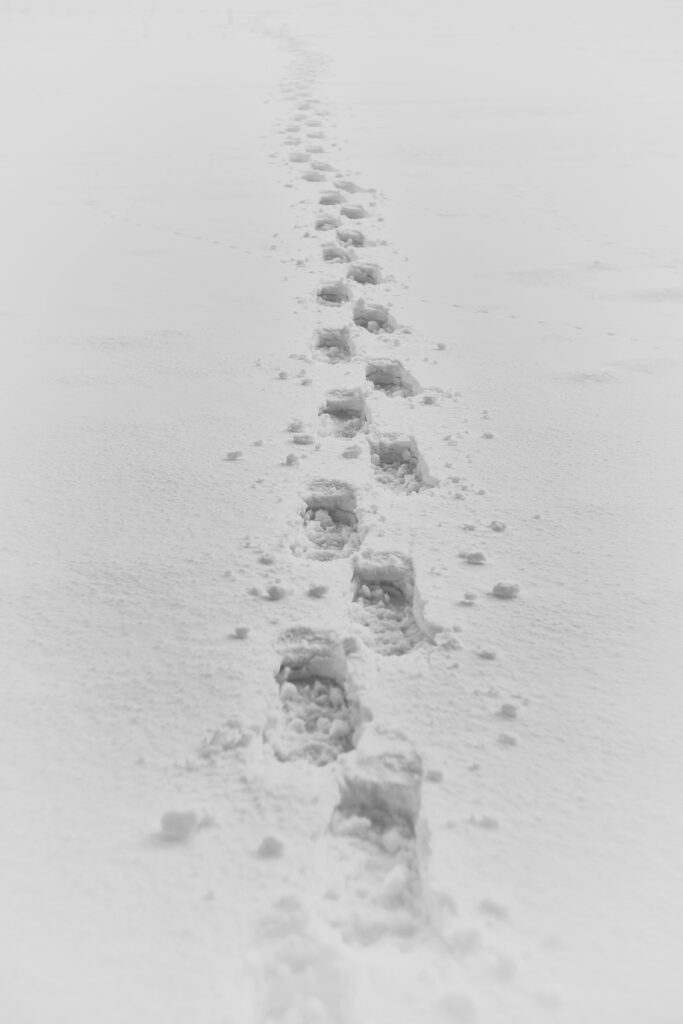 Footprints in the snow