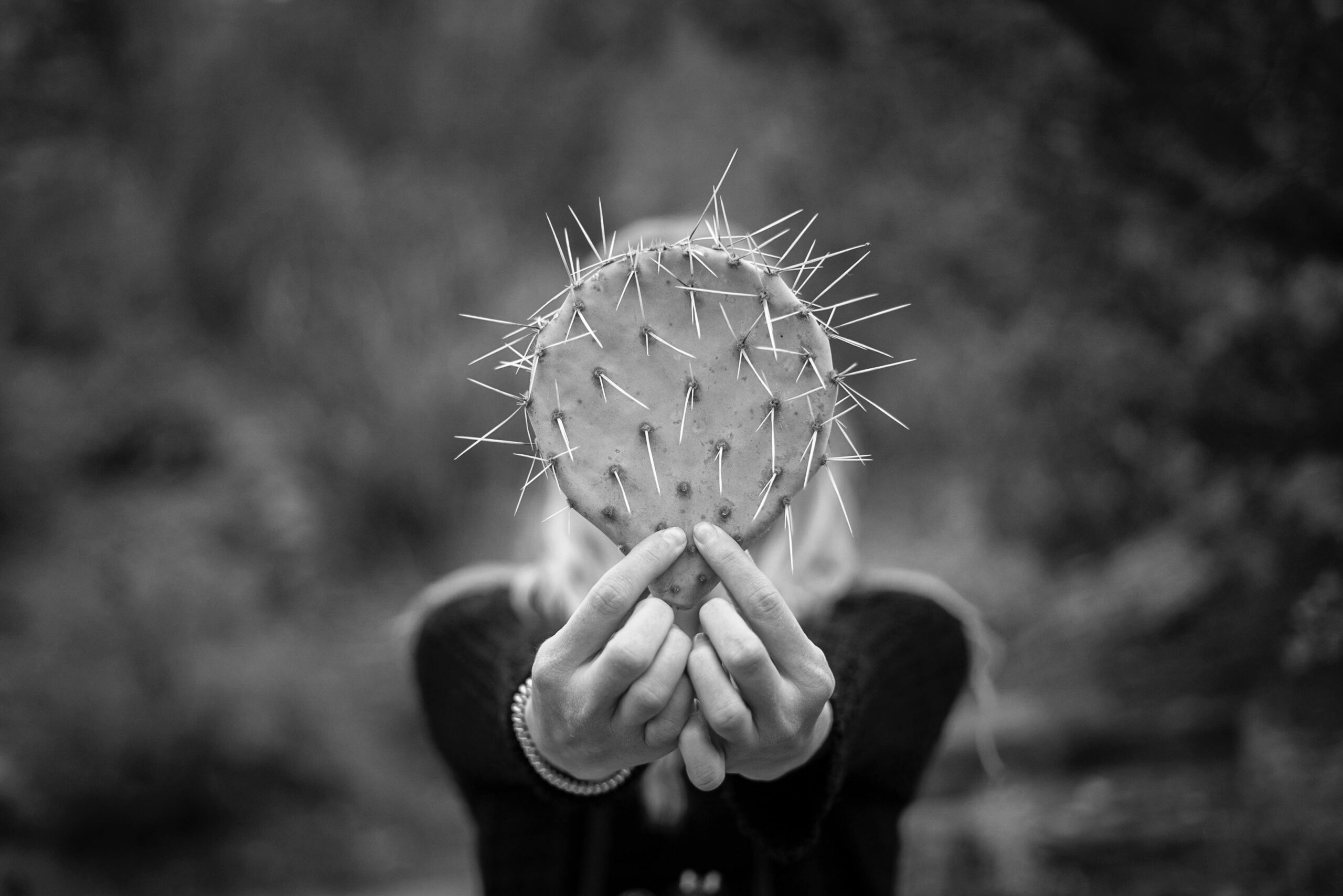 A person holding a cactus leaf