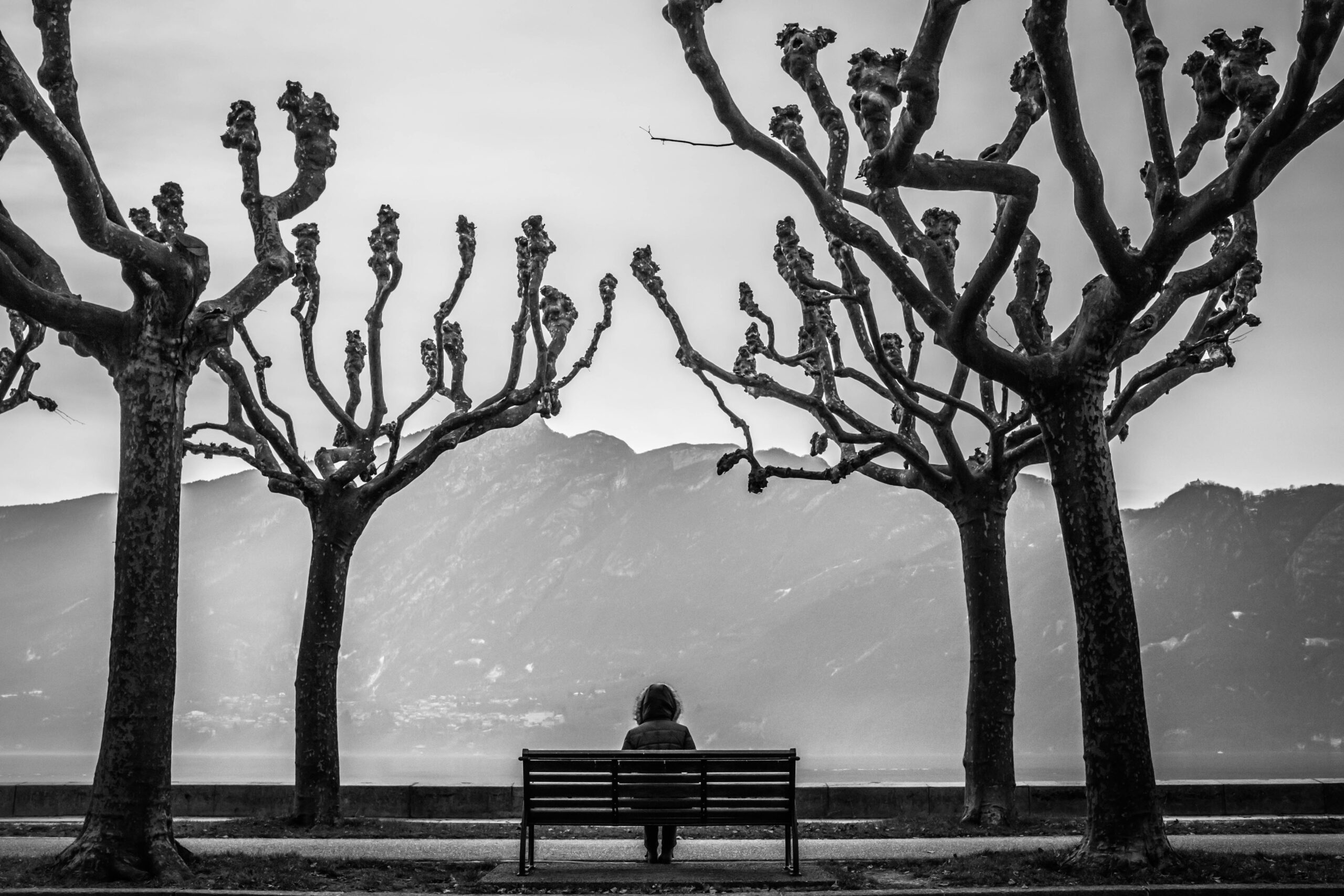 A person sitting alone on a bench